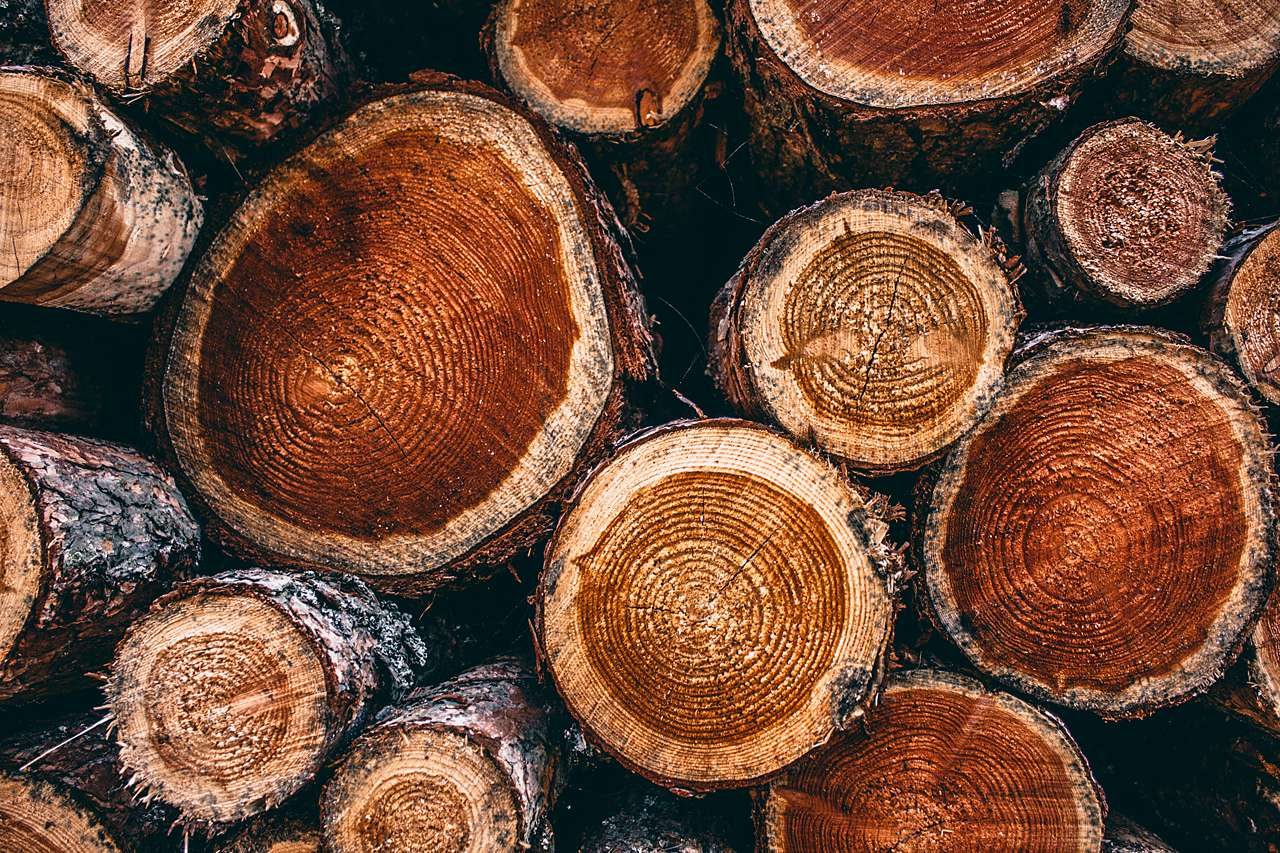What Is Natural Wood?